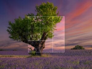 uCrop — an Android library