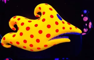 Animations in a mobile app