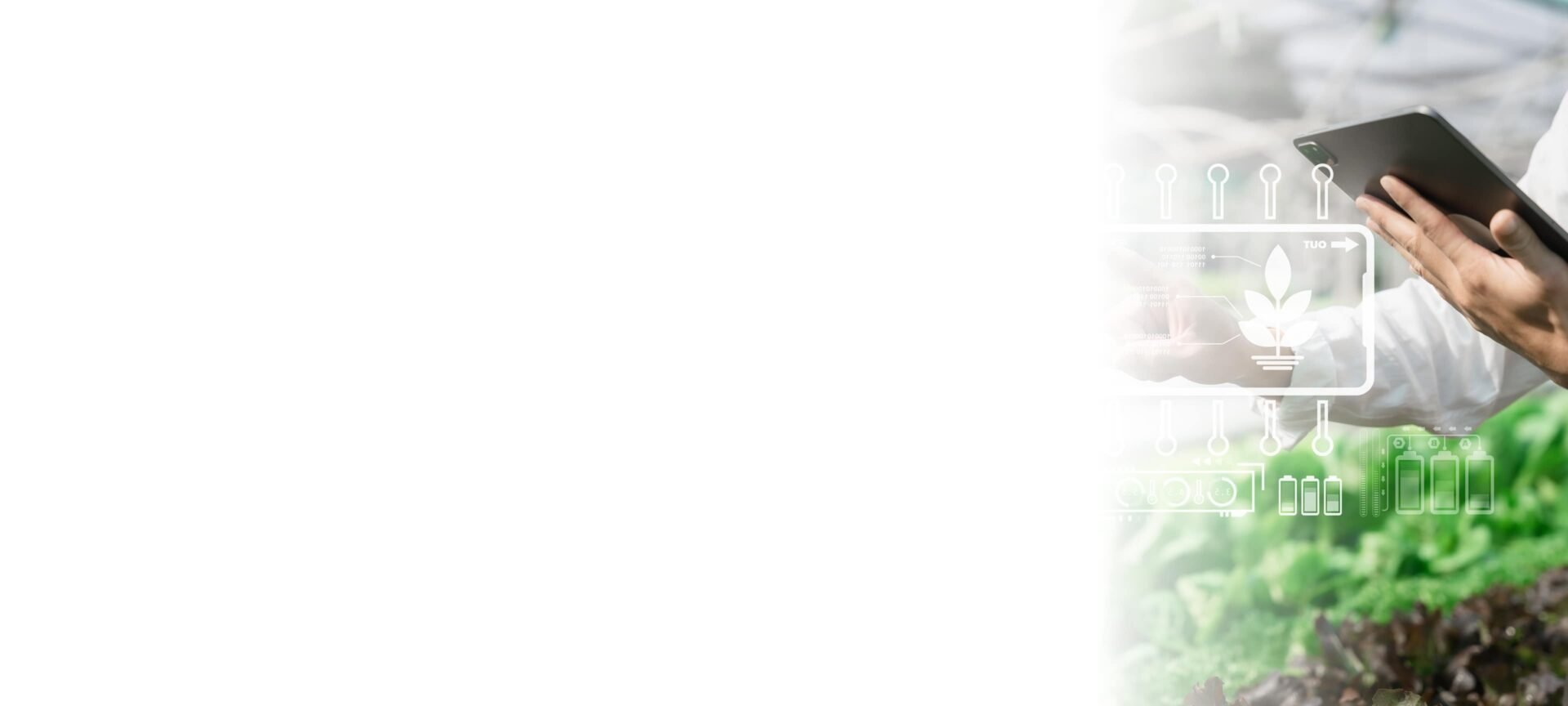 Agriculture Software & Hardware Development