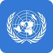 UN Regulation logo