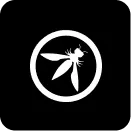 OWASP