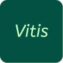 Vitis
