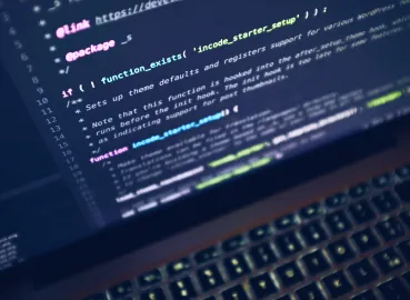 Custom software development